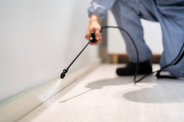Licensed Rodent Control service in Amherst, WI - Nex Pest Control