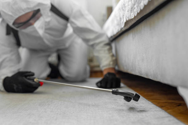 Professional Rodent Control technician working in Amherst, WI