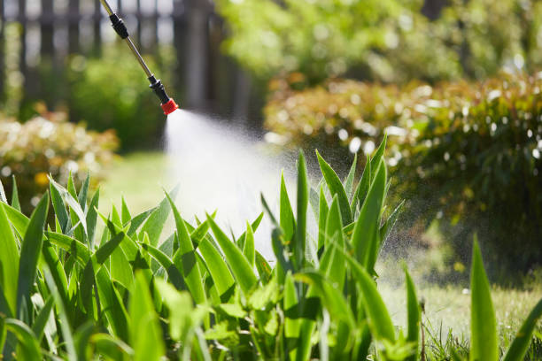 24/7 Emergency Rodent Control experts in Amherst, WI