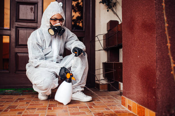 Reliable Rodent Control contractor in Amherst, WI by Nex Pest Control
