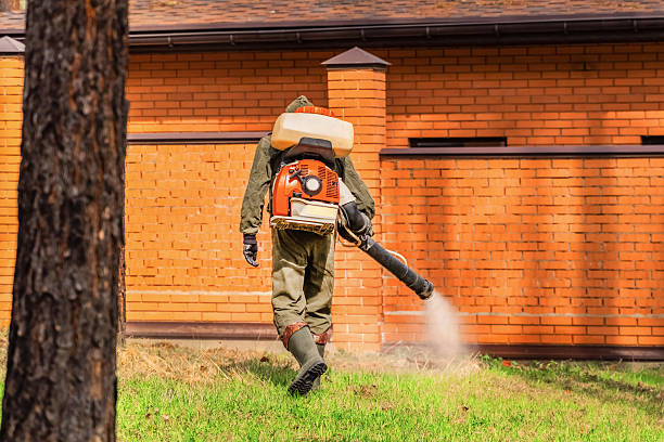 Trusted Bed Bug Control service in Amherst, WI - Nex Pest Control